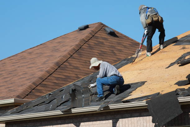 Best Roof Restoration  in Osceola, MO