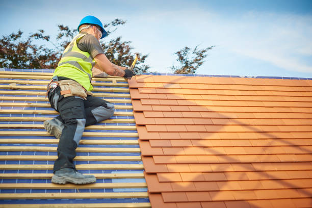 Best Skylight Installation and Repair  in Osceola, MO